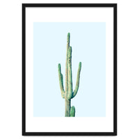 Loner Cactus