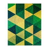 FY II (Print Only) thumbnail
