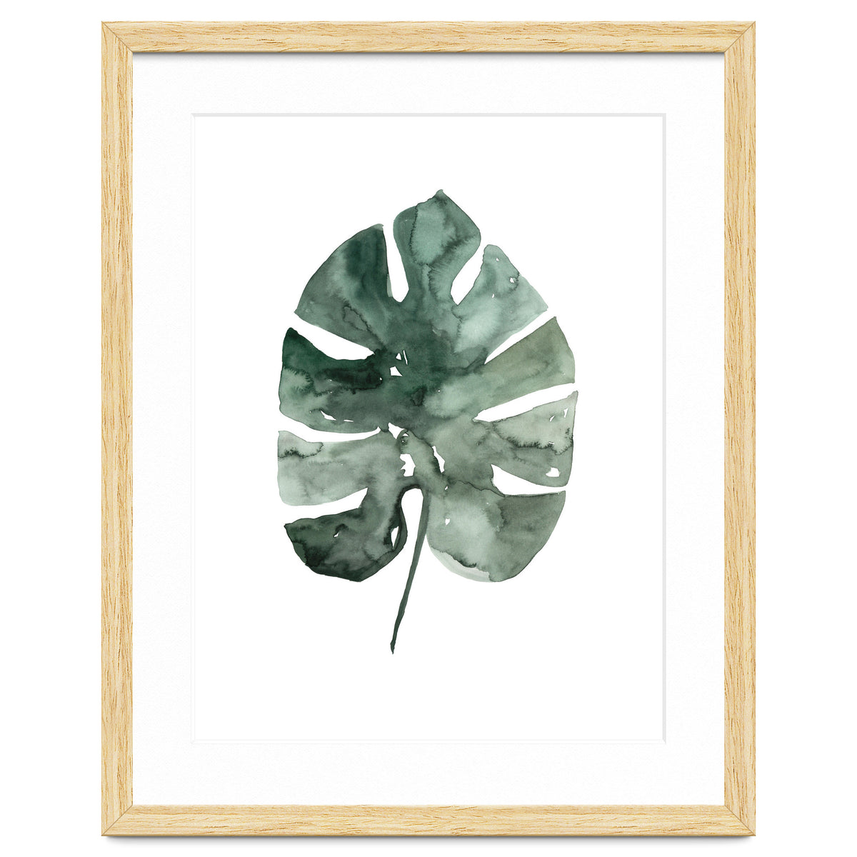 Botanical Illustration Monstera Leaf