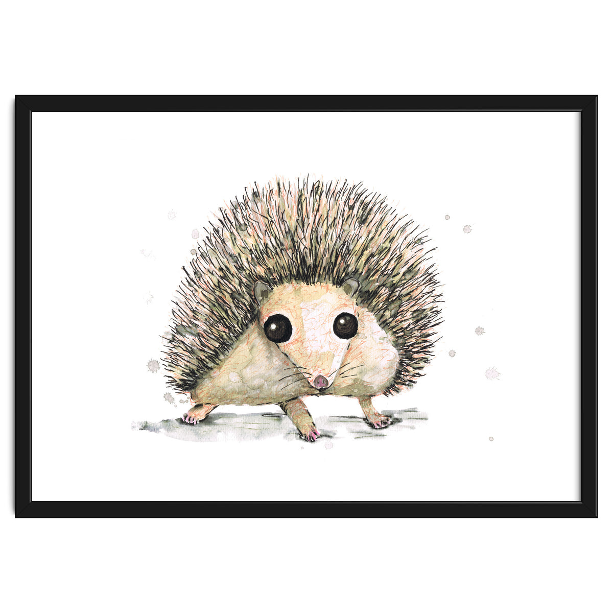 Hedgehog
