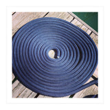 Blue rope coil (Print Only) thumbnail