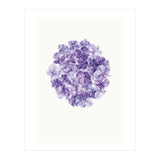 Cc Flower 01 (Print Only) thumbnail