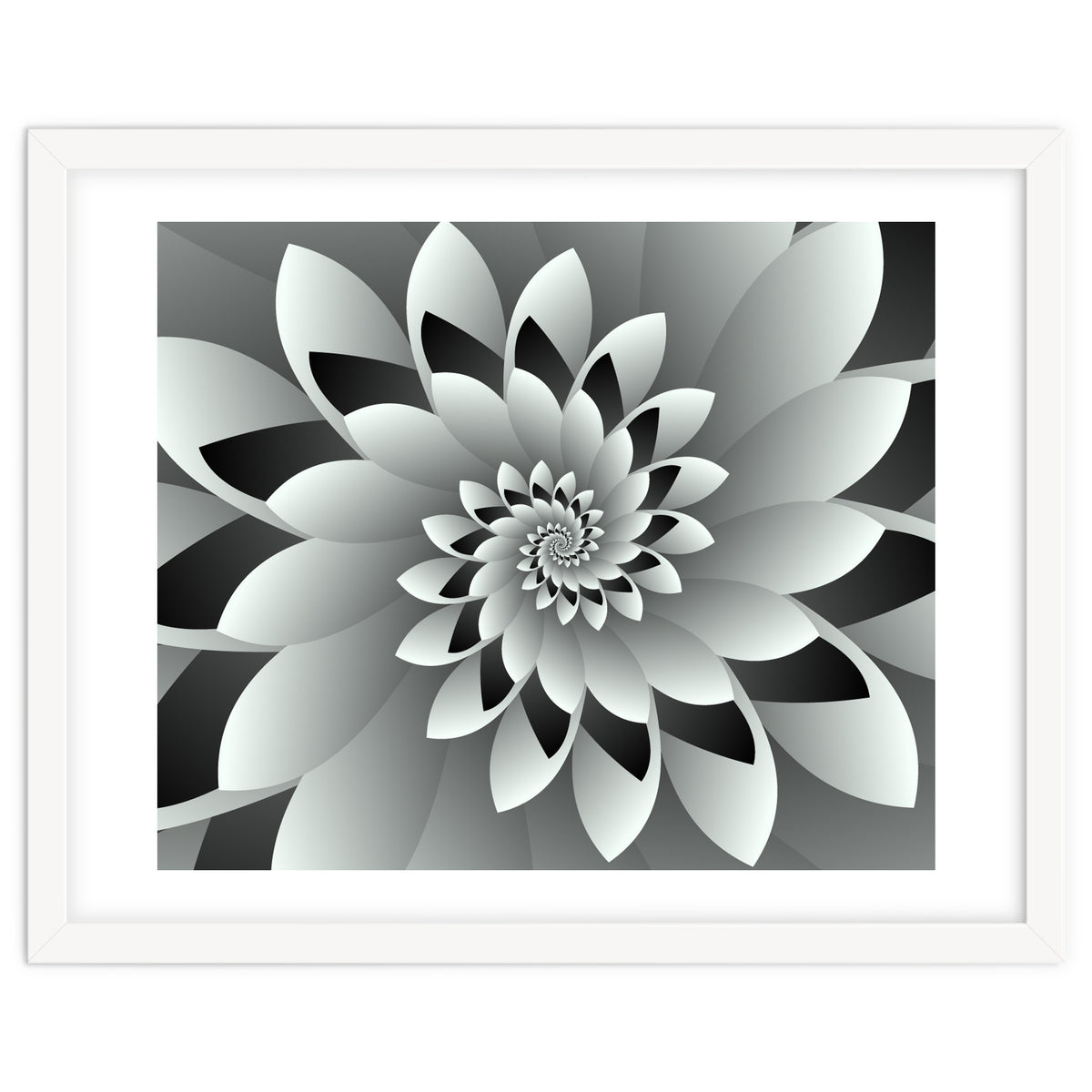 Black & White Floral