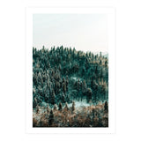 In The Wild (Print Only) thumbnail