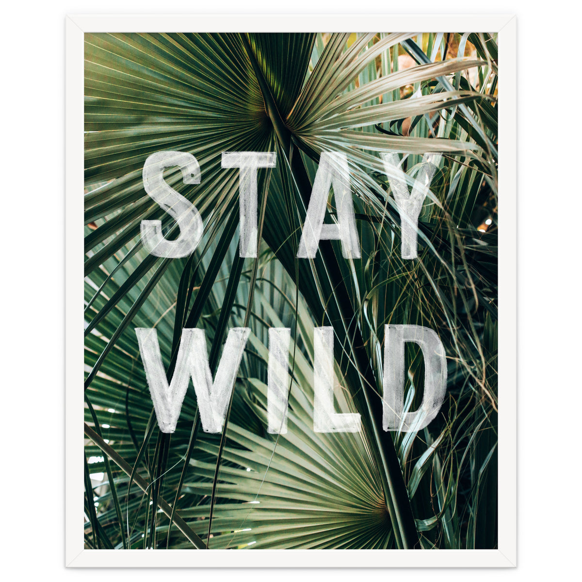 Stay Wild