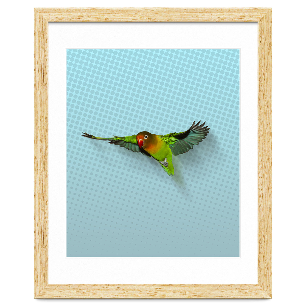 Flying lovebird