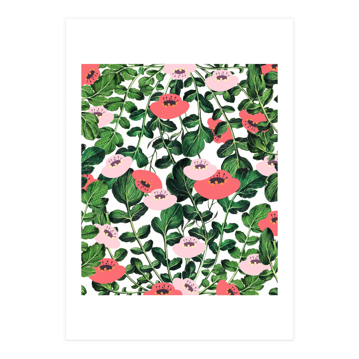 Parsnip & Poppies (Print Only)