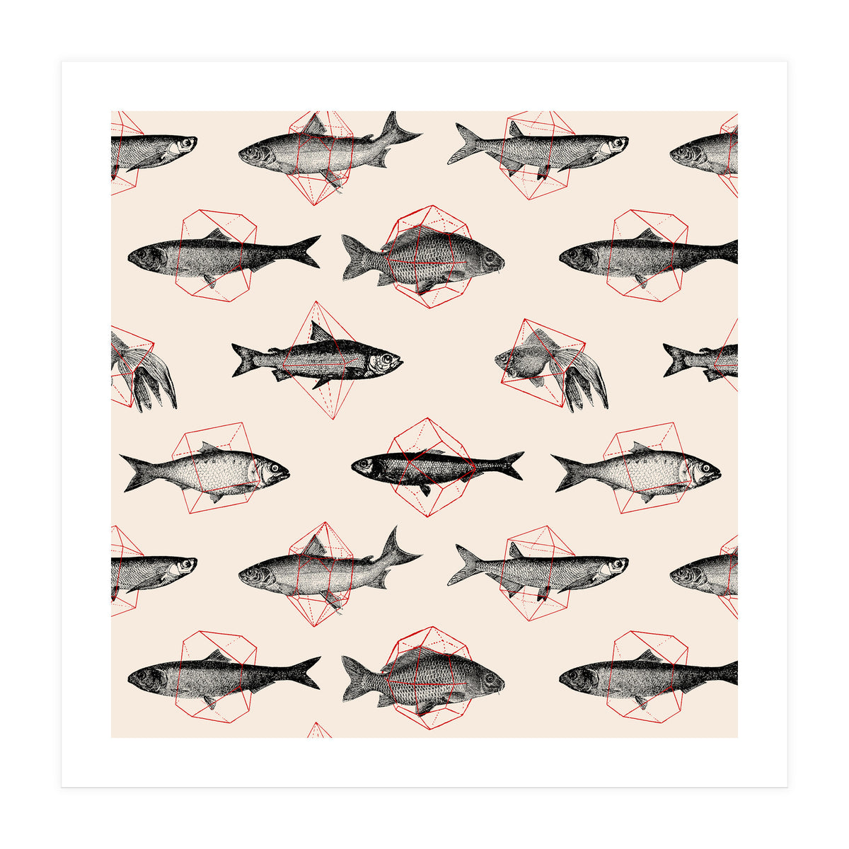 Fish In Geometrics  (Print Only)