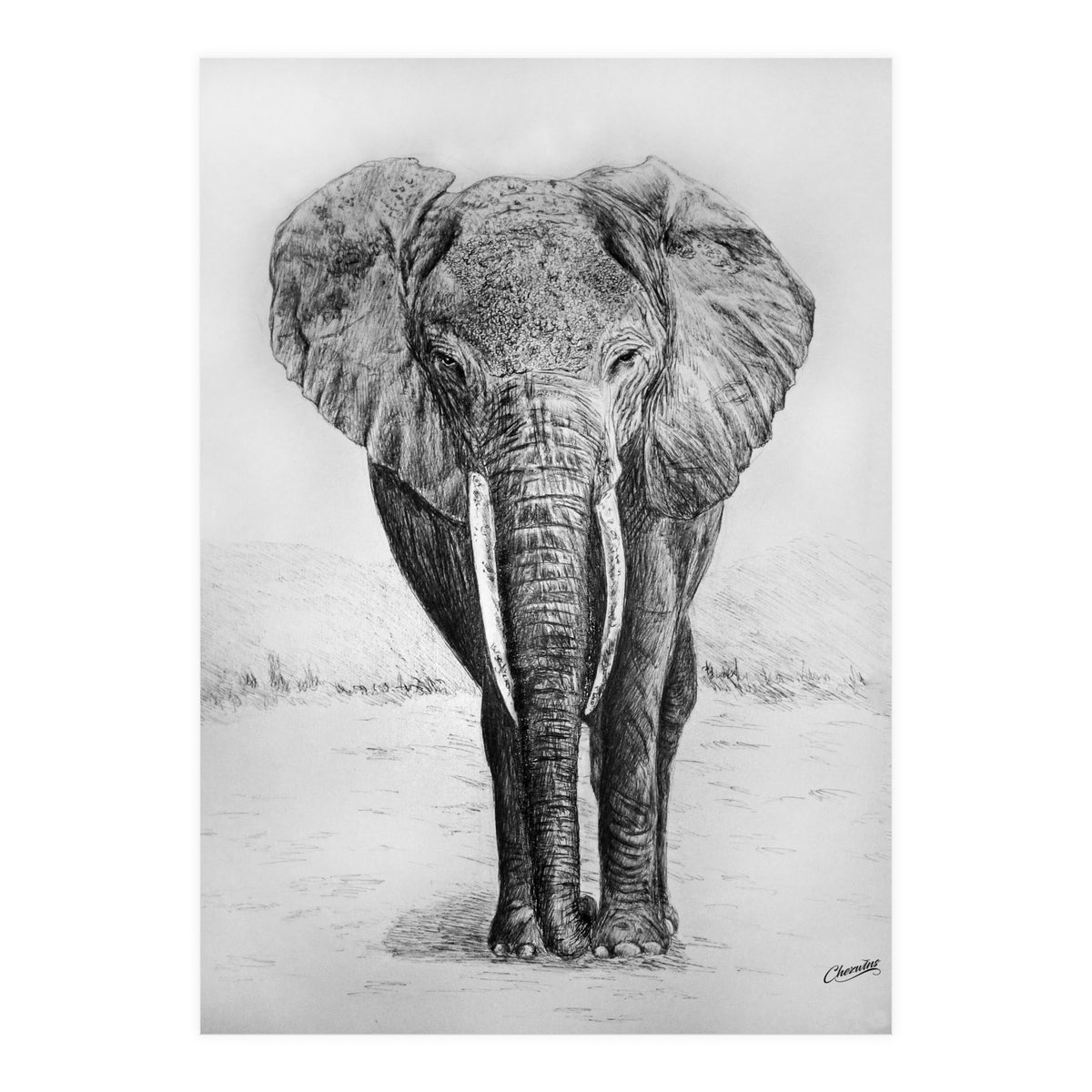 The Long Journey (Print Only)