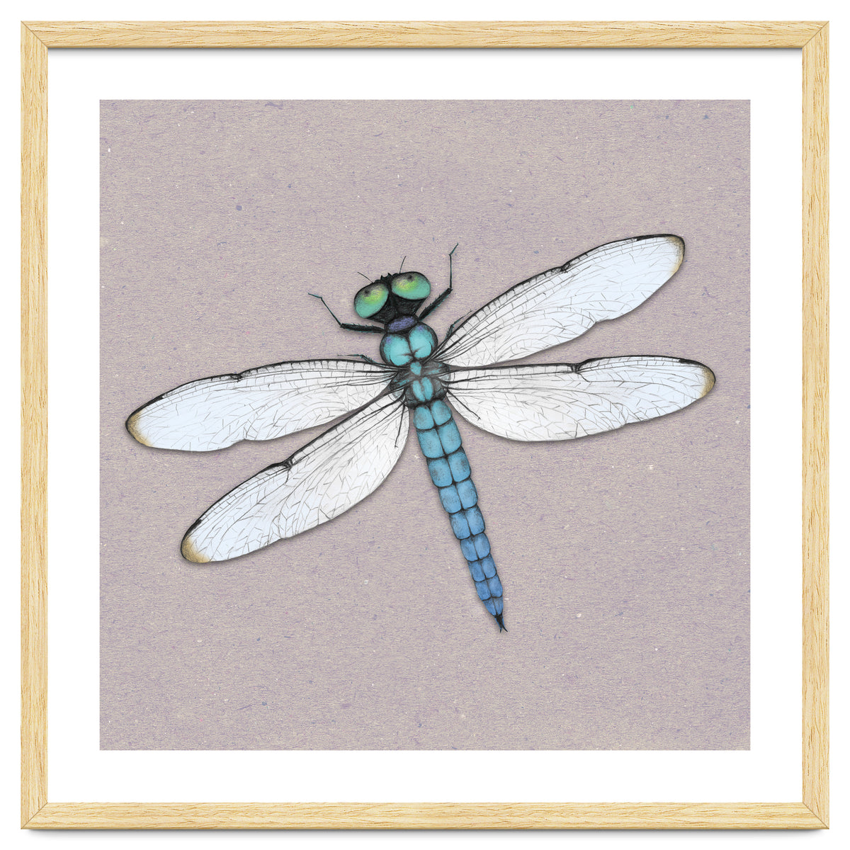 Blue dragonfly