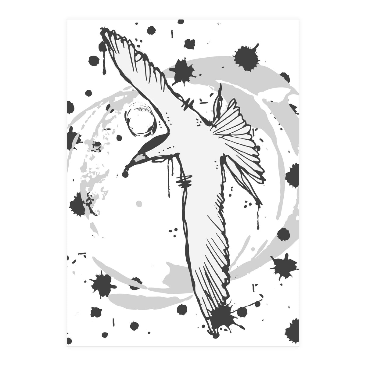 Fairy Tern Sketch (Print Only)
