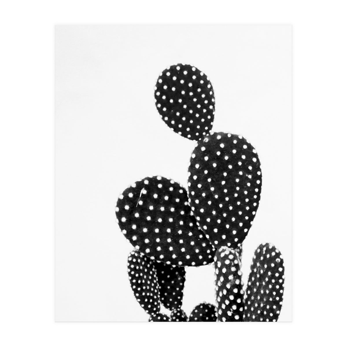 cactus vertical (Print Only)