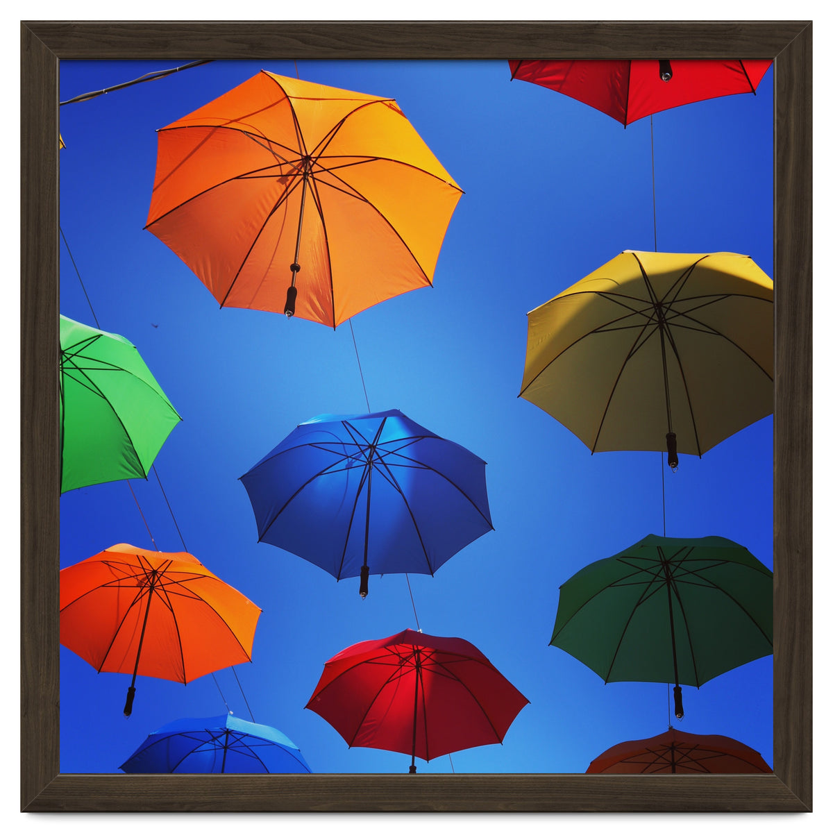 Rainbow umbrellas