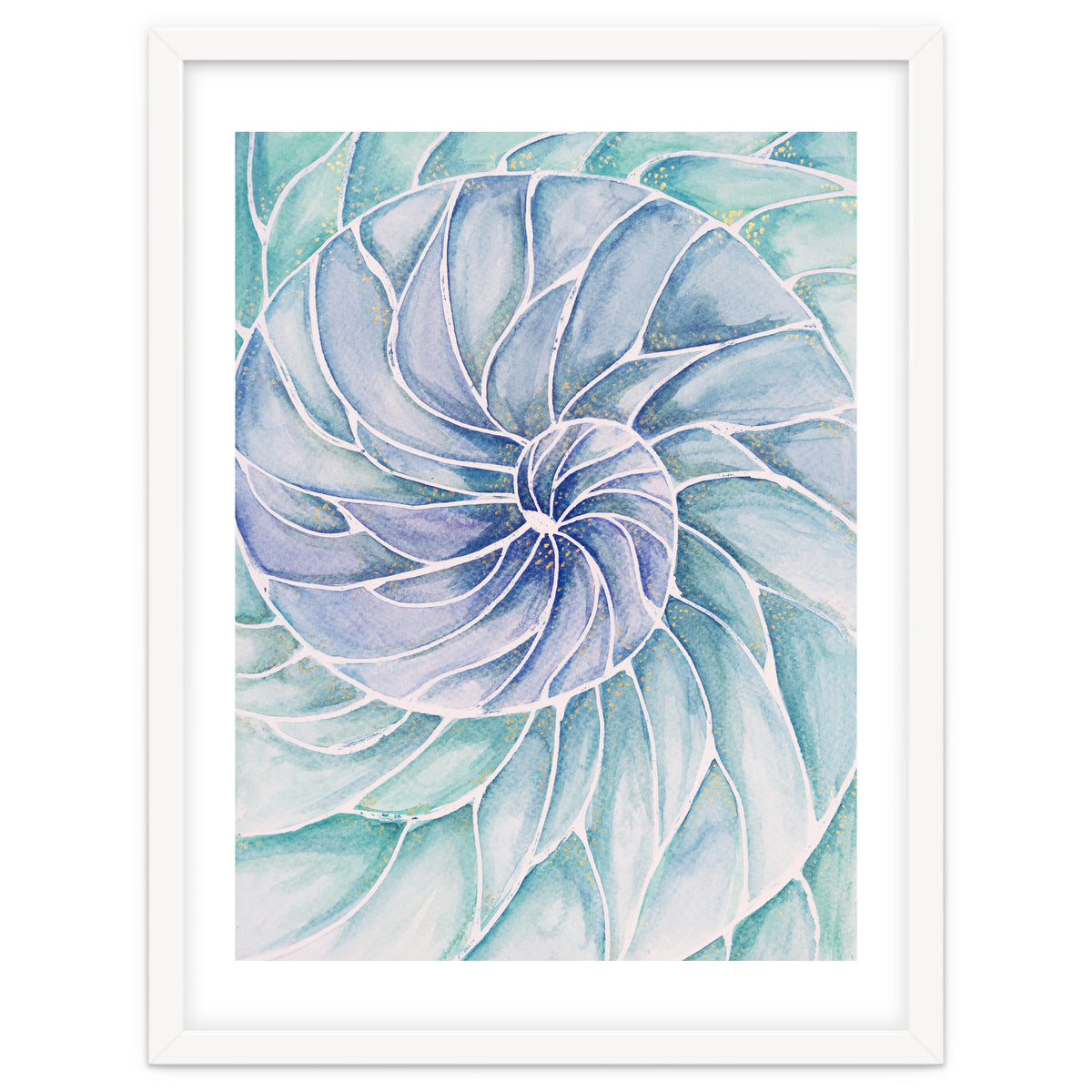 The inside of a shell