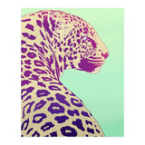 Leopard Under The Sun (Print Only) thumbnail