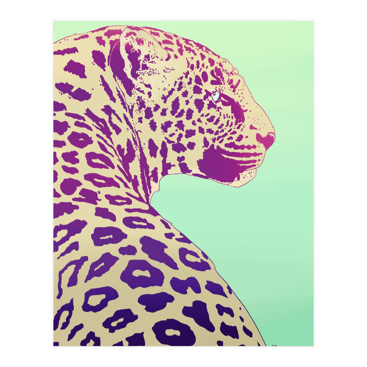 Leopard Under The Sun (Print Only)