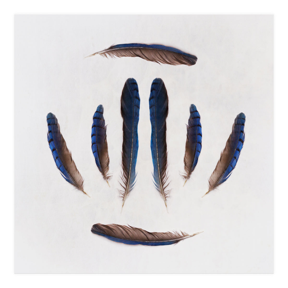 Forgive Me For Forgetting (Print Only)