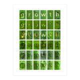 growth (Print Only) thumbnail