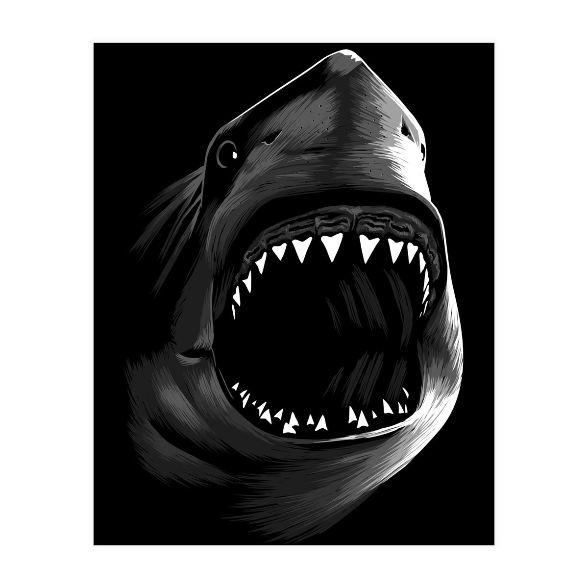 Megalodon (Print Only)