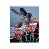 Bird Trainer (Print Only) thumbnail