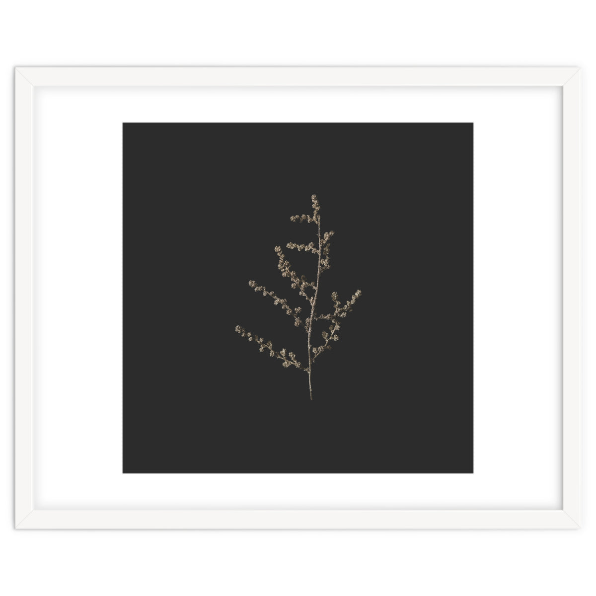 Dainty Botanicals in Gold and Black - Square