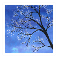 Tree in bloom  (Print Only)