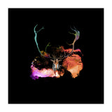 CARABOU-3  (Print Only) thumbnail