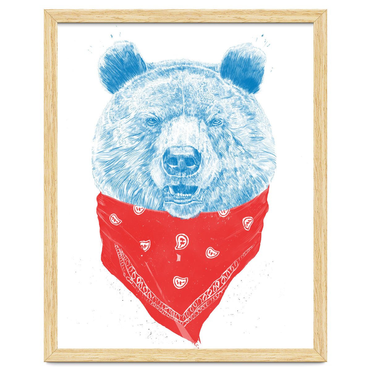 Wild Bear Color Version