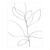 Seven Leaf Plant (Print Only) thumbnail