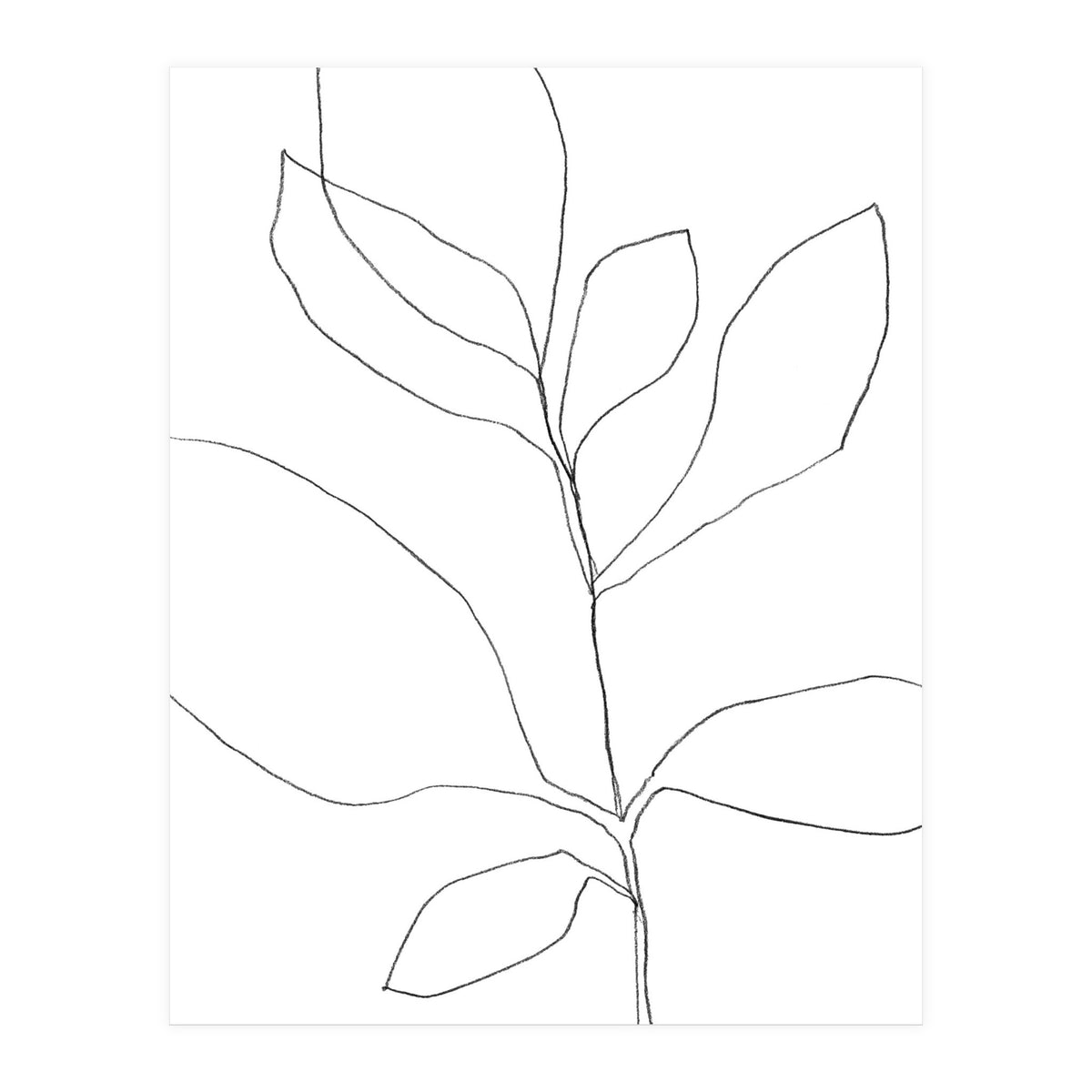 Seven Leaf Plant (Print Only)