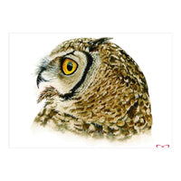 Lesser horned owl  (Print Only)