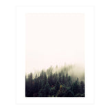33 (Print Only) thumbnail