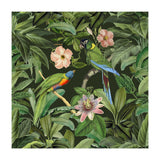 Exotic Jungle Birds (Print Only) thumbnail