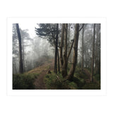 Mt. Davidson II (Print Only) thumbnail