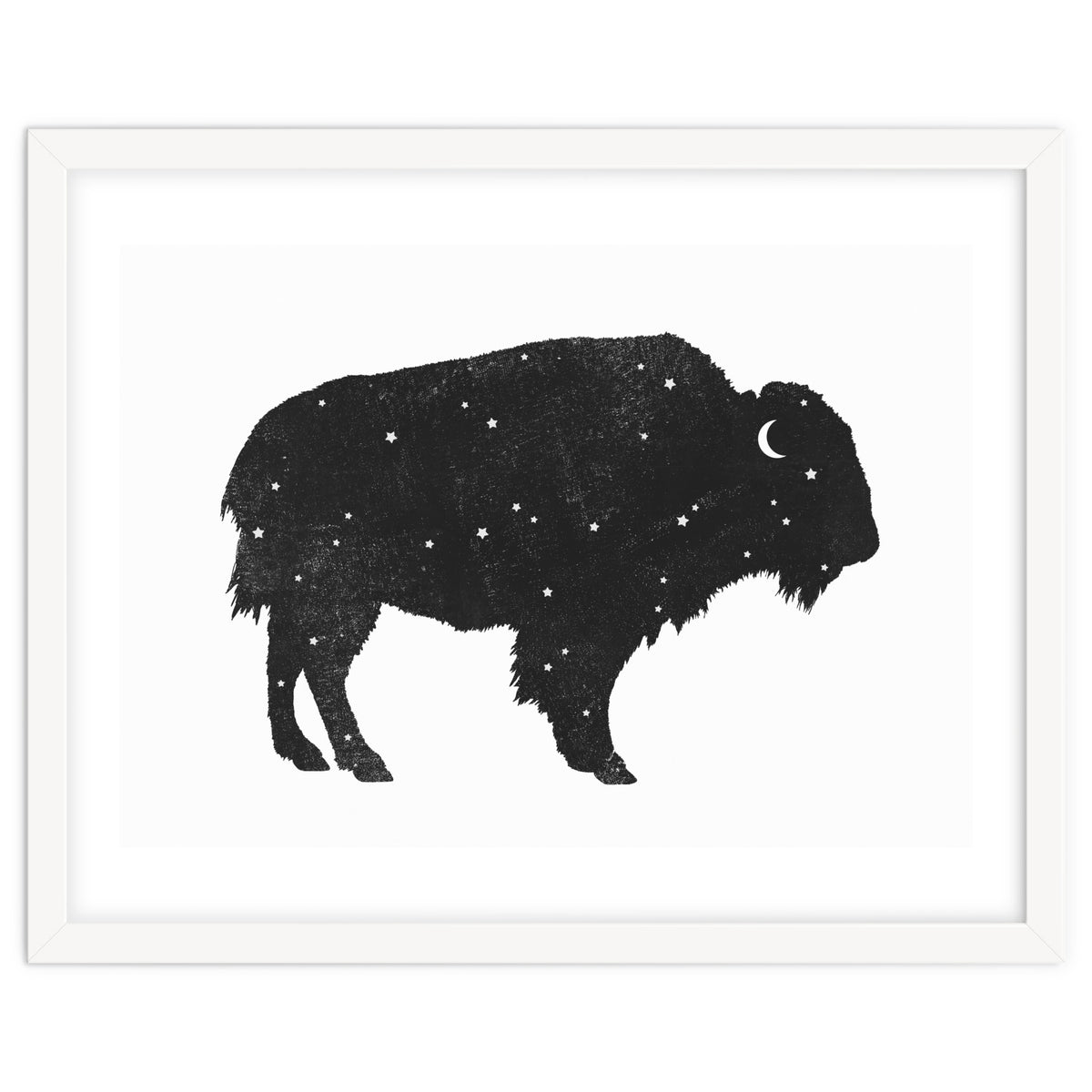 Mystic Buffalo