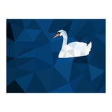 Swan In Water Artwork (Print Only) thumbnail