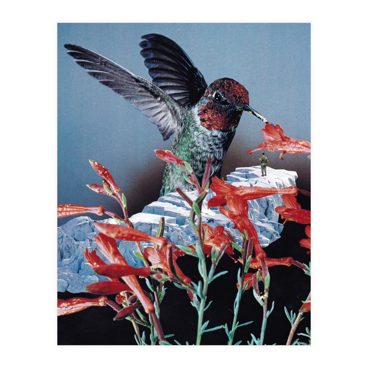 Bird Trainer (Print Only)