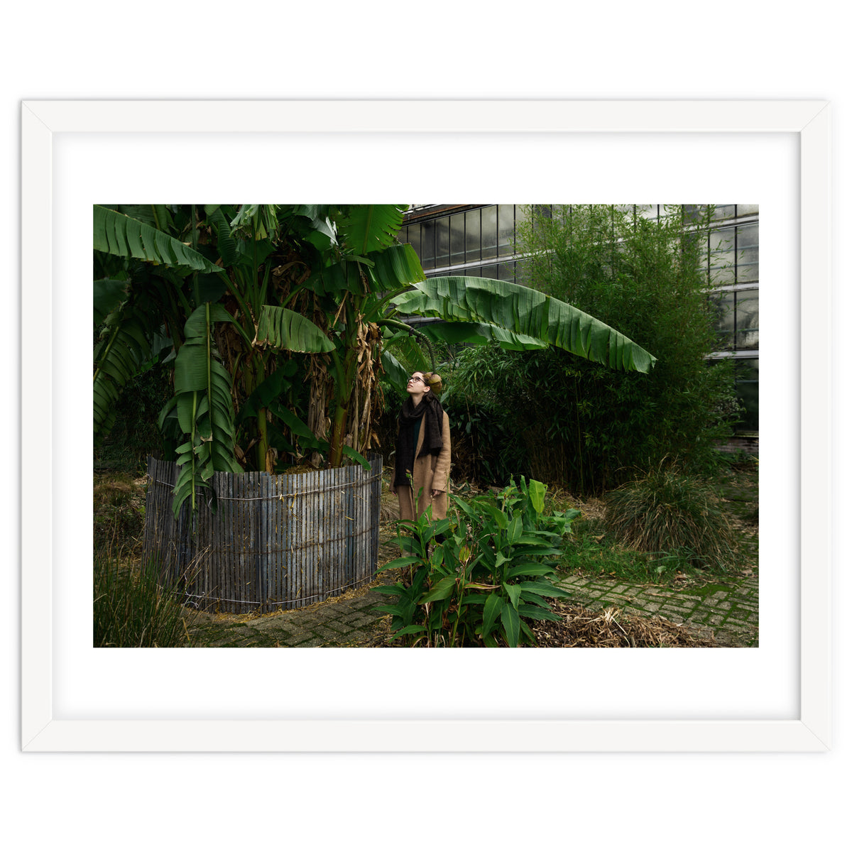 Transition from Summer to Winter