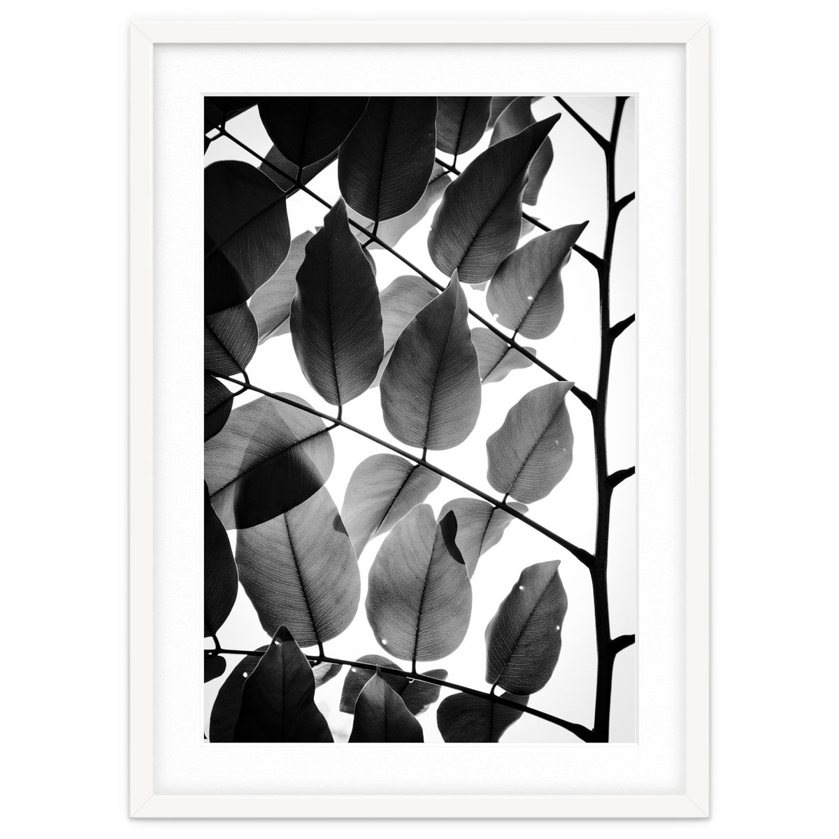 Branches and Leaves II