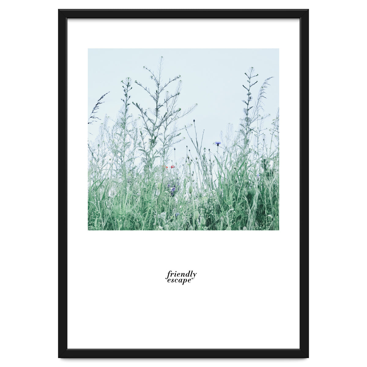 Friendly escape - Nature Photography -