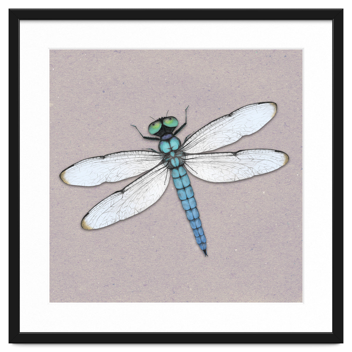 Blue dragonfly