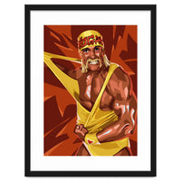 Hulk Hogan WWE