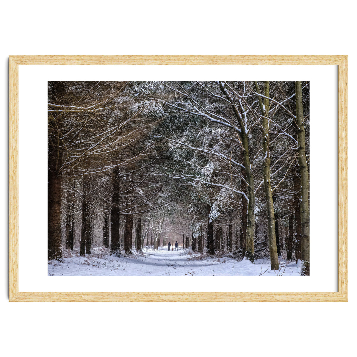 Dog Walkers in the Snow.  Heath Warren - Hampshire