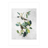 fiori e uccelli (Print Only) thumbnail