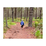 Into the forest (Print Only) thumbnail