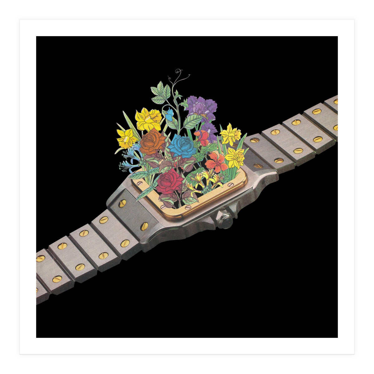 Natural Watch (Print Only)