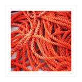 Orange ropes (Print Only) thumbnail