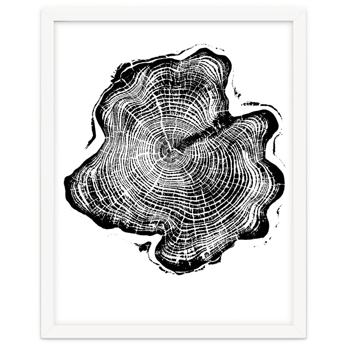 Alaskan Cypress, Tree Ring Art Print, Woodblock