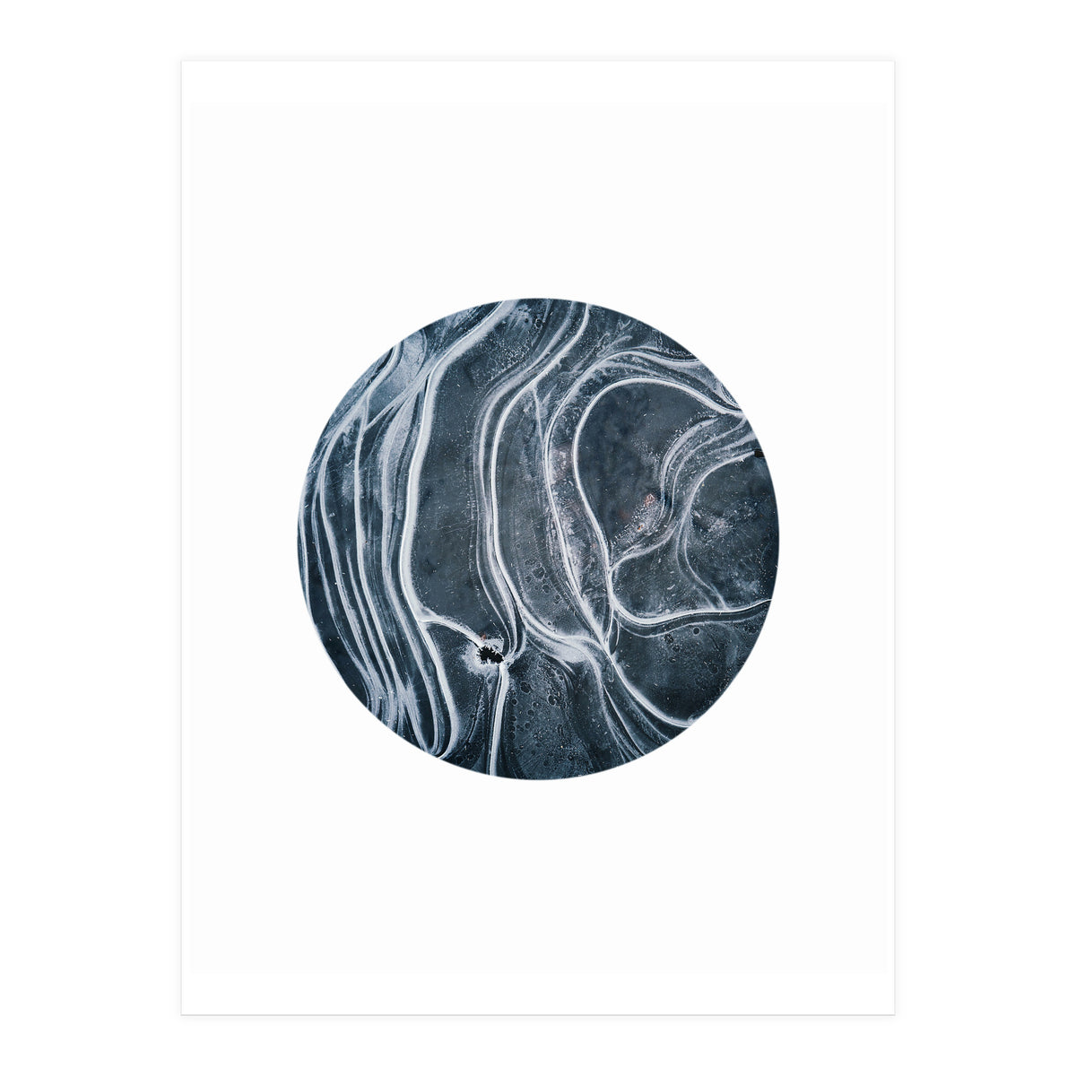 Entity (Print Only)