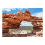 Nature (Print Only) thumbnail